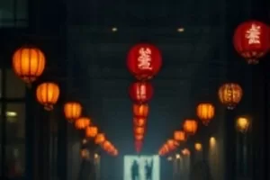 《旧唱片行》木质货架上排列的黑胶唱片